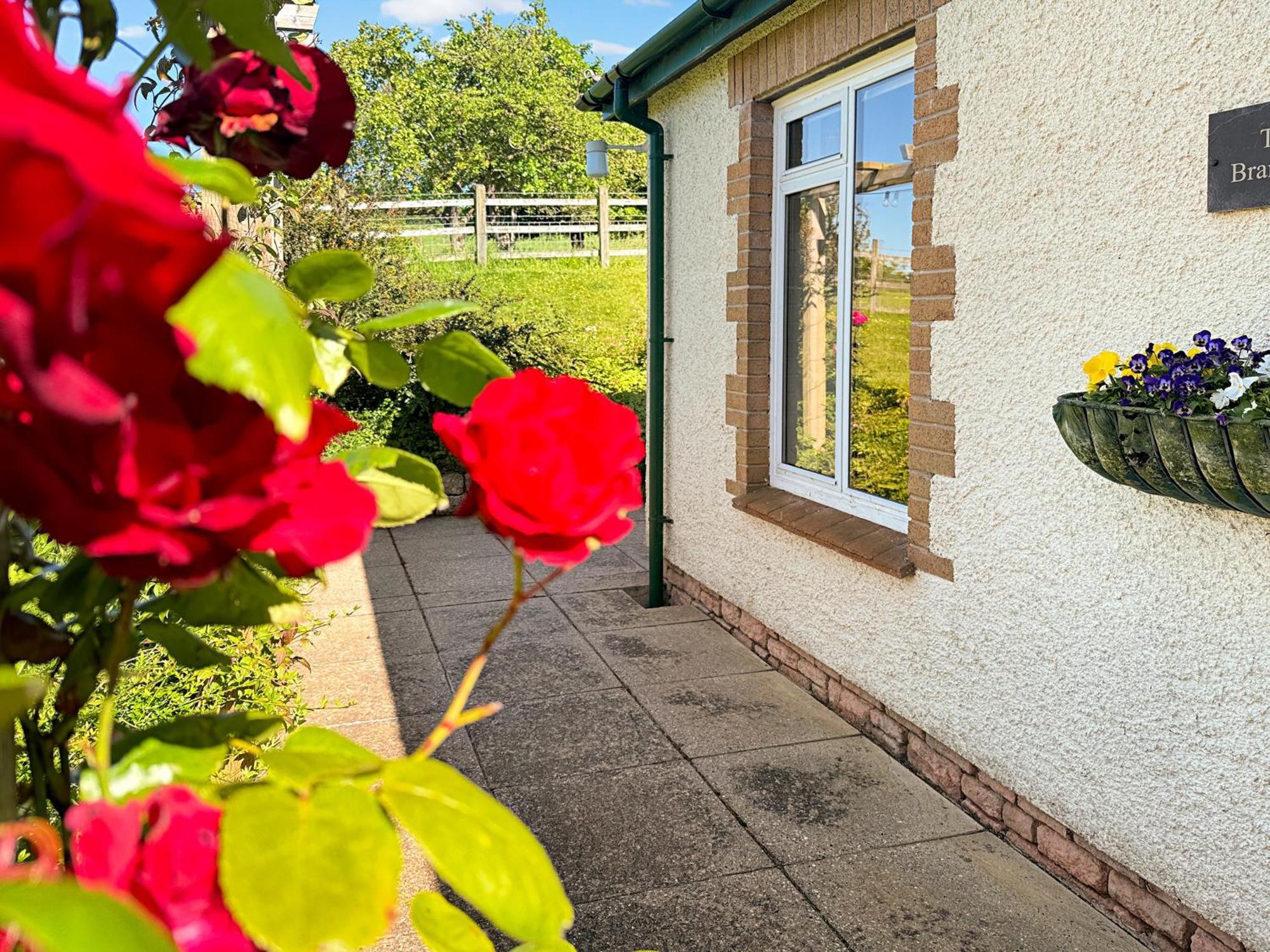 The Bramleys Old Cleeve Villa Washford Exteriör bild